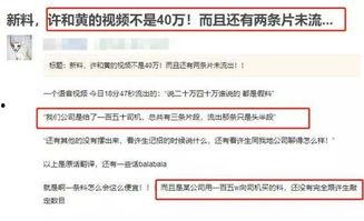 爆料视频信息违法吗,违法信息传播的边界与法律责任 第2张 爆料视频信息违法吗,违法信息传播的边界与法律责任 第2张