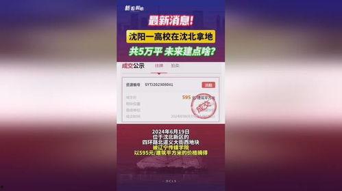 沈阳最新爆料,揭秘城市风云背后的惊人真相 第2张 沈阳最新爆料,揭秘城市风云背后的惊人真相 第2张