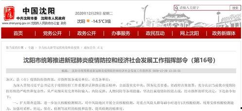 沈阳最新爆料,揭秘城市风云背后的惊人真相 第3张 沈阳最新爆料,揭秘城市风云背后的惊人真相 第3张