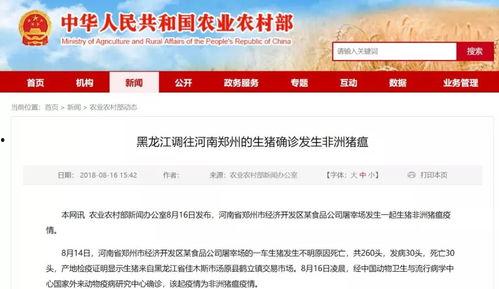 淄博网红爆料最新消息新闻,揭秘城市热点事件背后的真相 第2张 淄博网红爆料最新消息新闻,揭秘城市热点事件背后的真相 第2张