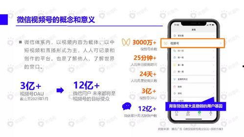 吃瓜网红翻车视频大全下载,视频大全揭秘网络红人真实面目 第3张 吃瓜网红翻车视频大全下载,视频大全揭秘网络红人真实面目 第3张