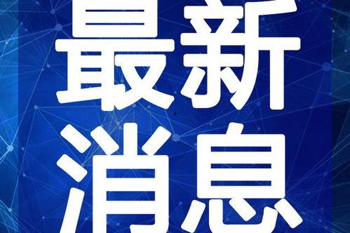河南二黑爆料视频大全最新,揭秘幕后真相,带你走进网络热点事件 第2张 河南二黑爆料视频大全最新,揭秘幕后真相,带你走进网络热点事件 第2张