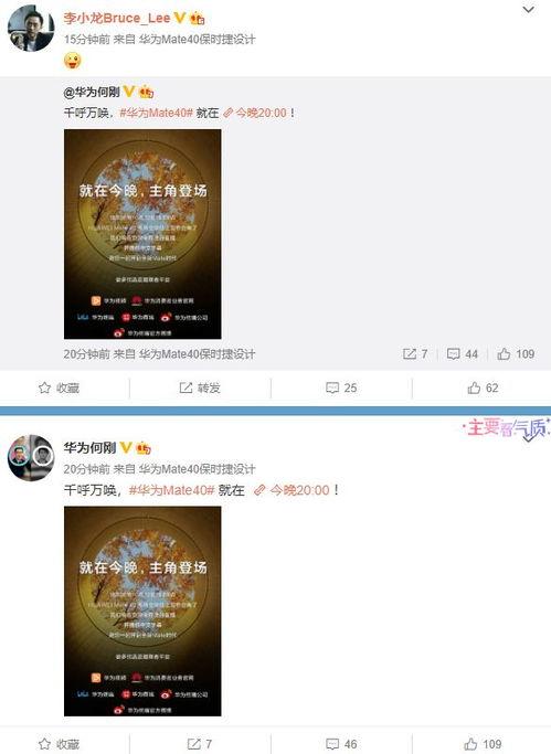 罗宝爆料视频,幕后真相大起底