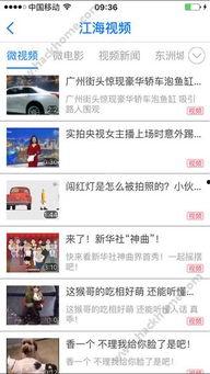 海门网红爆料新闻视频大全,热门视频大盘点，揭秘网络热点背后的故事