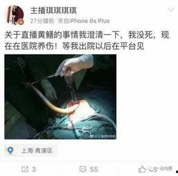 黄鳝女视频在线观看,揭秘网络直播背后的惊人真相