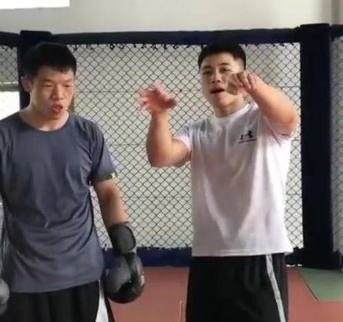 马老师爆料太极拳视频全集,太极拳视频全集深度解析  第2张