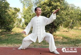 马老师爆料太极拳视频全集,太极拳视频全集深度解析  第3张