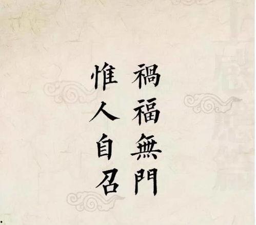 圈内人不经意爆料的句子,揭秘行业背后惊人内幕  第3张