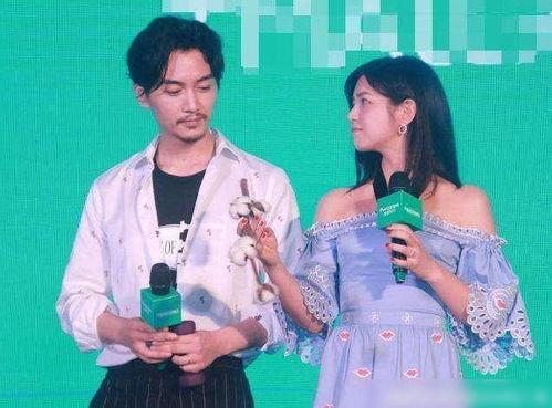 娱乐圈爆料刘亦菲陈晓,娱乐圈新恋情引热议