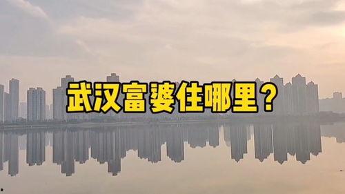 楼市爆料视频,最新房价走势与投资风向 第3张 楼市爆料视频,最新房价走势与投资风向 第3张