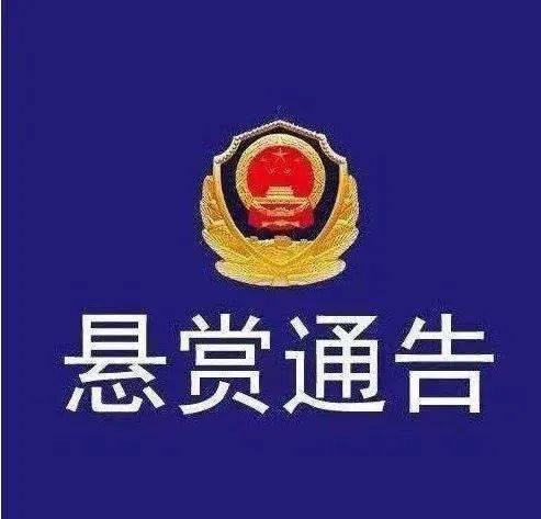 梅州最新的爆料案件,揭秘背后惊人真相