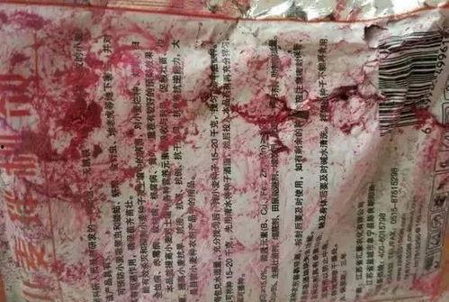 爆料舞帝二哈视频,笑料百出,网友直呼“太欢乐” 第2张 爆料舞帝二哈视频,笑料百出,网友直呼“太欢乐” 第2张