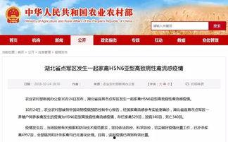宜昌新闻爆料,突发事件引发关注,最新进展情况揭晓 第2张 宜昌新闻爆料,突发事件引发关注,最新进展情况揭晓 第2张
