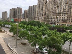 上饶龙湖湾小区最新爆料,揭秘神秘项目与周边发展动态  第2张