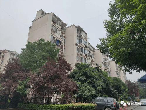 深圳龙马小区最新爆料,揭秘神秘事件背后的真相 第2张 深圳龙马小区最新爆料,揭秘神秘事件背后的真相 第2张