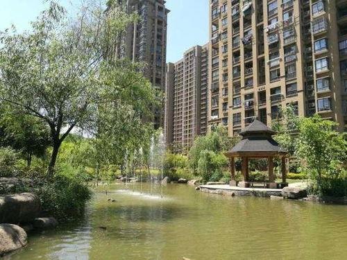 弘瑞清水湾爆料了吗最新消息,揭秘项目进展与市场动态 第2张 弘瑞清水湾爆料了吗最新消息,揭秘项目进展与市场动态 第2张