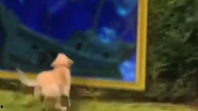 日常视频爆料大全最新网站,最新网站深度解析 第2张 日常视频爆料大全最新网站,最新网站深度解析 第2张