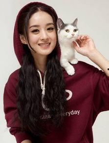 明星热点爆料最新赵丽颖,神秘男友身份引网友热议 第2张 明星热点爆料最新赵丽颖,神秘男友身份引网友热议 第2张