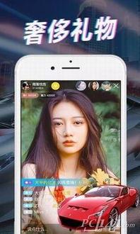 熊哥直播爆料视频大全下载,揭秘幕后真相，带你领略直播魅力  第1张