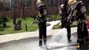 特勤中队电视剧全集在线观看,热血忠诚,守护平安全集在线观看攻略 第2张 特勤中队电视剧全集在线观看,热血忠诚,守护平安全集在线观看攻略 第2张