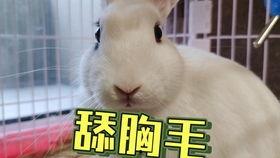 718吃瓜抖音网红,揭秘抖音网红背后的故事  第1张