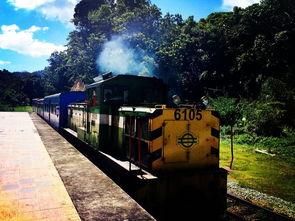 江孜餐饮爆料视频大全集,视频大全集深度解析 第3张 江孜餐饮爆料视频大全集,视频大全集深度解析 第3张