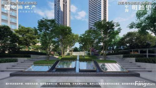 中海爆料最新消息,揭秘行业动态，洞察市场风向