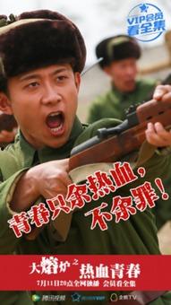 大熔炉电视剧在线观看,见证时代变迁，共筑民族复兴梦