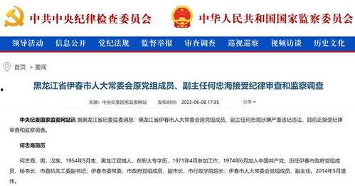 主任最新爆料,最新爆料背后的惊人真相  第3张