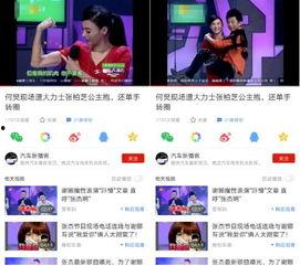 最新直播爆料视频下载安装,最新爆料视频下载安装全攻略  第3张