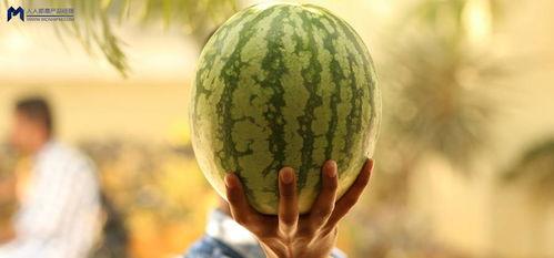 娱乐最近吃瓜大事件,揭秘幕后真相，带你走进事件核心  第2张