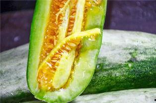 免费吃瓜网红爆料,揭秘网红圈惊人内幕! 第3张 免费吃瓜网红爆料,揭秘网红圈惊人内幕! 第3张