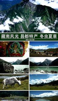 风景最新爆料视频下载大全